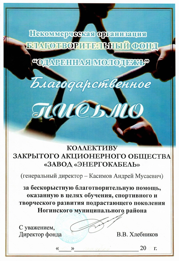 Благодарственное письмо благотворительного фонда "Одаренная молодежь" Благодарственное письмо благотворительного фонда "Одаренная молодежь"